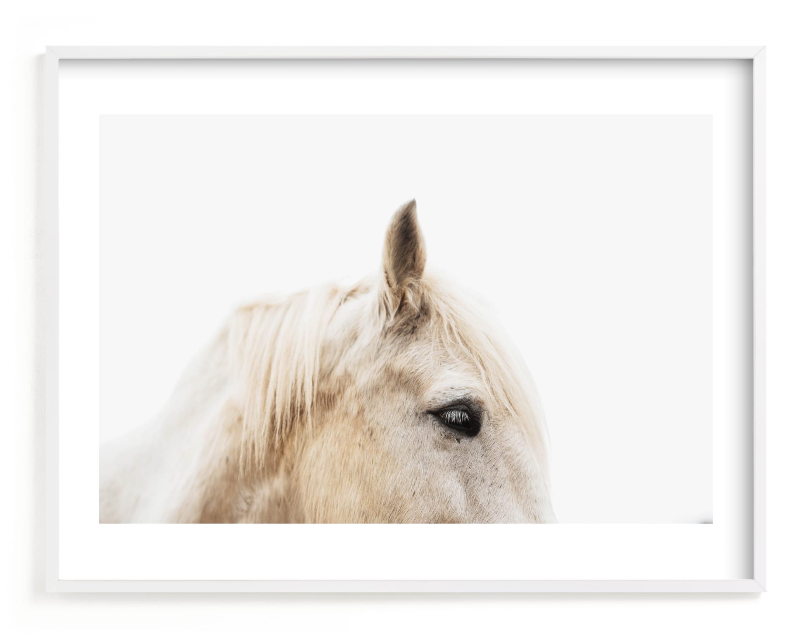 "Le Creme Cheval" - Photography Limited Edition Art Print by Amy Carroll. | Minted