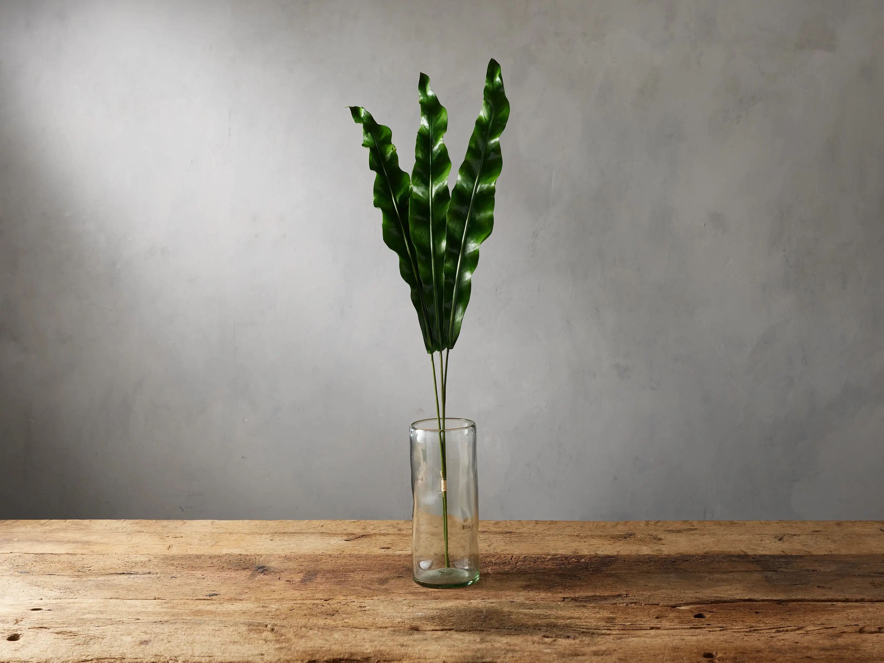 Faux Bird's Nest Fern Frond | Arhaus