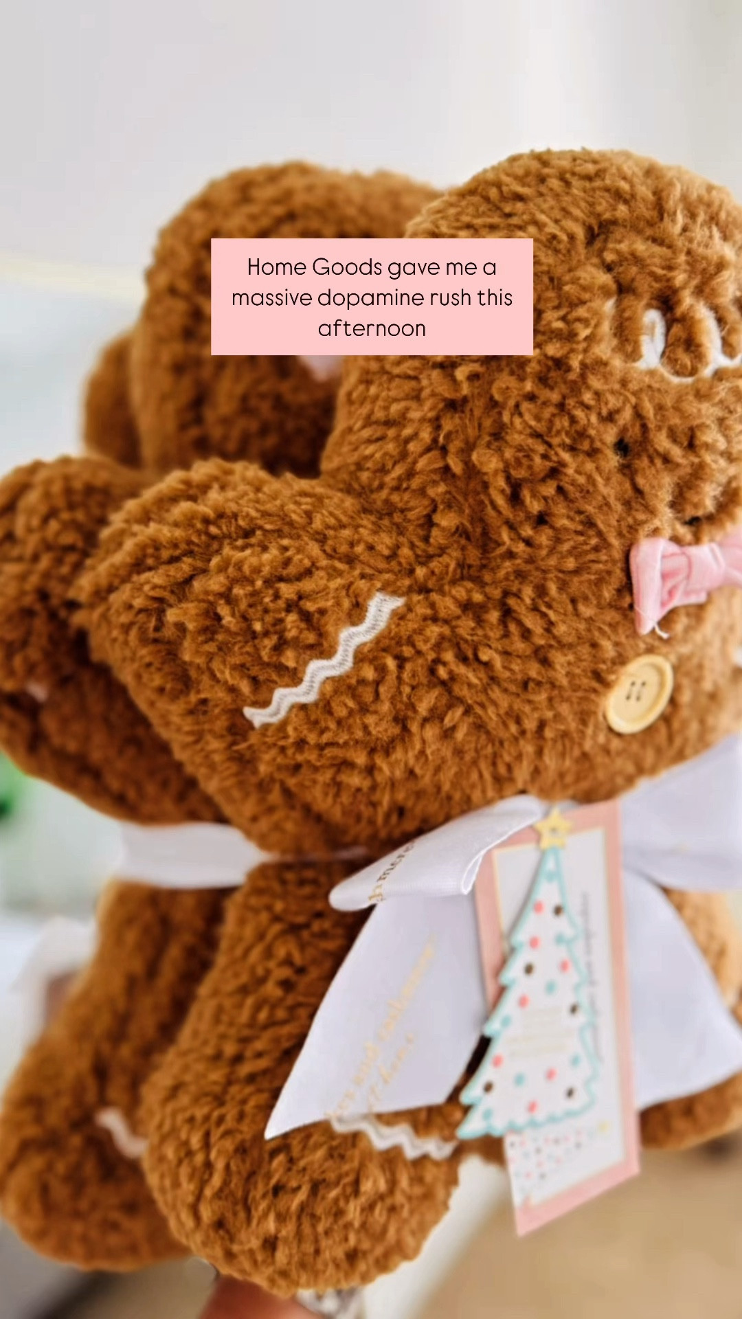 Holiday shopping vibes at their best! 🎄 Found the cutest gingerbread goodies today at @HomeGoods @TJMaxx @Marshalls and my dopamine levels are soaring! 😍🍪 #GingerbreadObsession
#HolidayShopping #HomeGoodsHaul #TJMaxxFinds #MarshallsFinds #GingerbreadDecor #HolidayVibes #HolidayDecor #ShoppingAddict #HomeDecorLovers

#LTKHoliday #LTKHome