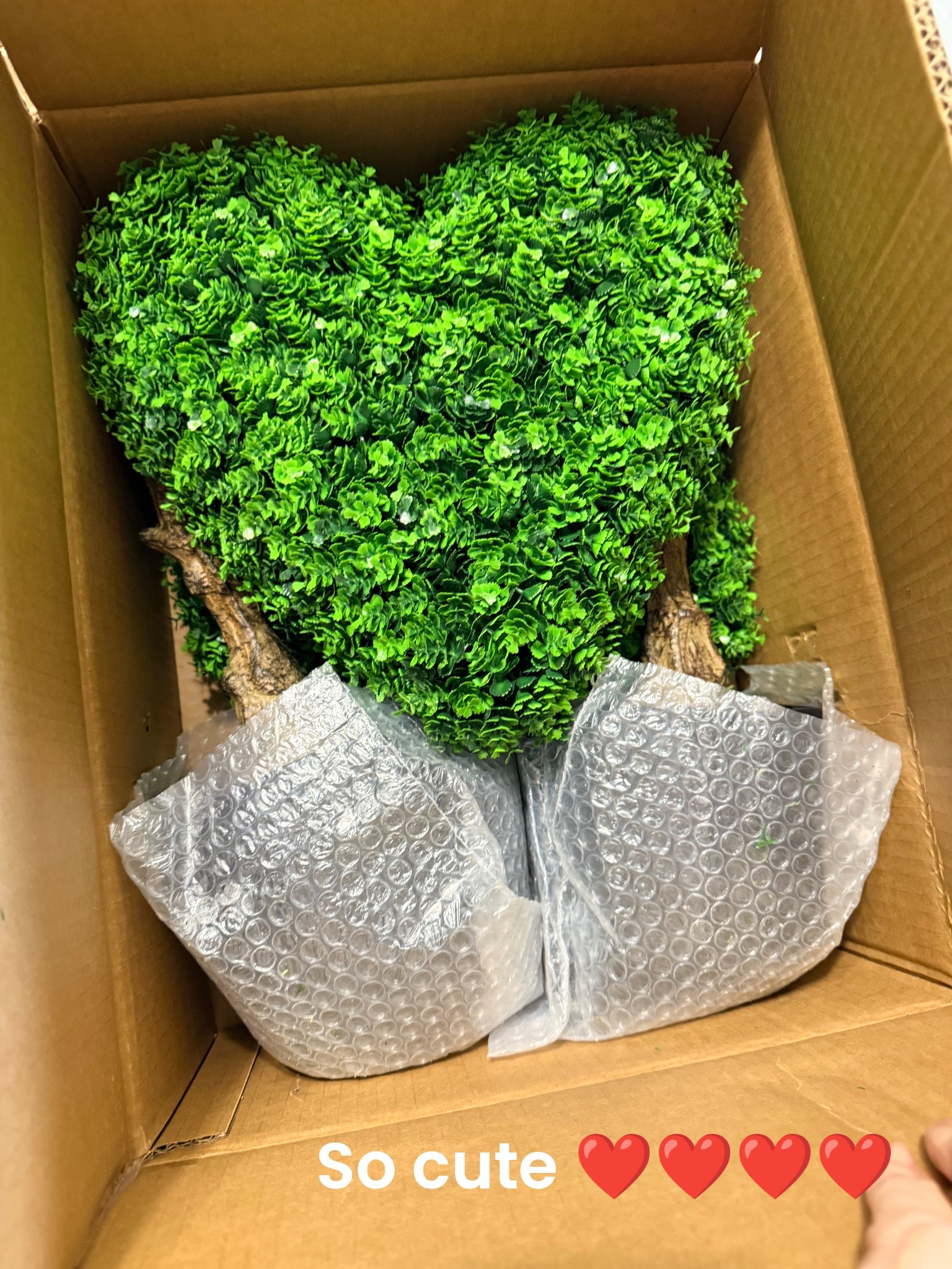 Sneak peek of what’s coming for Valentine’s Day decorations! ❤️

Adding a little love to the front porch this Valentine’s Day ❤️
These heart-shaped topiaries are such a simple way to bring in a festive touch, and I can’t wait to share everything once the porch is fully styled and put together. Small details like this make seasonal decorating feel easy and welcoming ✨

Valentine’s Day front porch decor, Valentine’s porch decorations, heart topiary decor, outdoor Valentine decorations, front porch styling ideas, seasonal porch decor, Valentine’s home decor

#ValentinesDayDecor
#ValentinesPorch
#FrontPorchDecor
#ValentinesHome
#HeartDecor
#SeasonalDecor
#OutdoorDecor
#HomeDecorInspo
#PorchStyling
#CozyHome
#HolidayDecor
#SimpleDecor#LTKHoliday

#LTKSeasonal #LTKHome