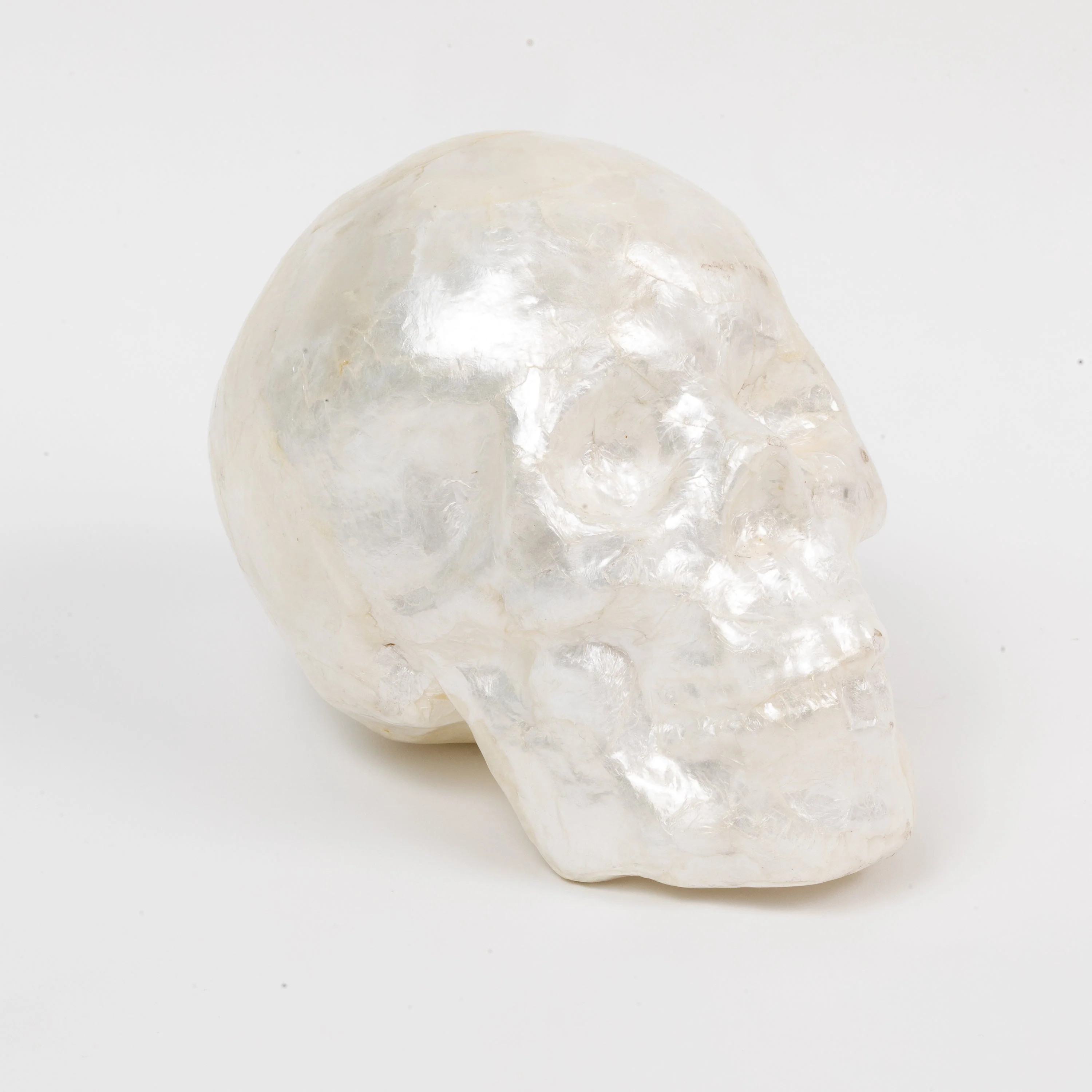 Capiz skull, pearl | Joanna Buchanan