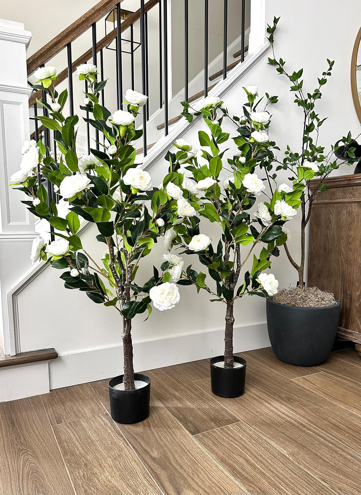 The most realistic camellia trees! So beautiful for indoor or outdoor space. Porch styling. Patio decor. Faux floral. Spring porch refresh. Summer patio decor. My sweatshirt is so cozy and comes in a bunch of colors! Comfy clothes. Ugh slippers. Nik | Amazon (US)