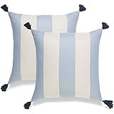 Hofdeco Beach Coastal Indoor Outdoor Pillow Cover ONLY, Water Resistant for Patio Lounge Sofa, Sk... | Amazon (US)