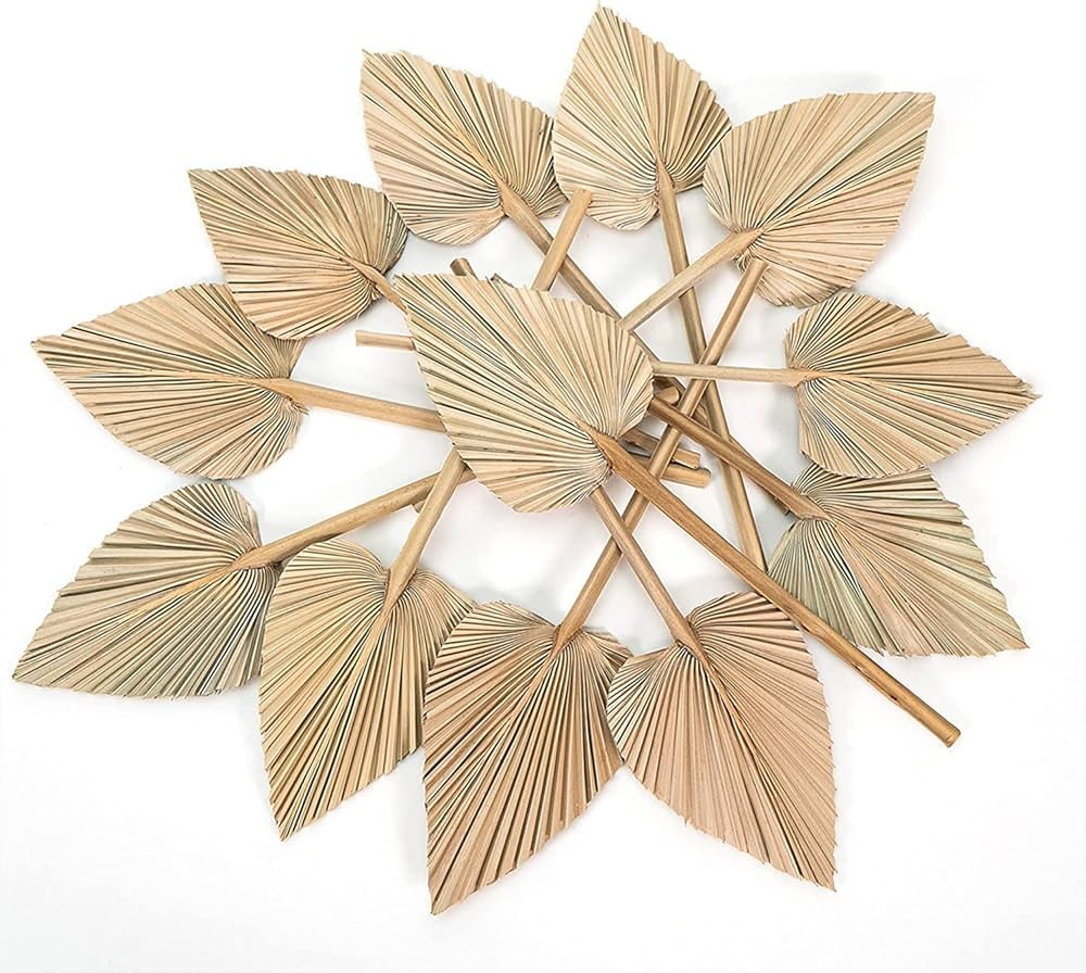 ZaanZeer Pack 12 Dried Palm Leaves Long Lasting Oval Shape Dried Leaves for Vase Fillers, Centerp... | Amazon (US)