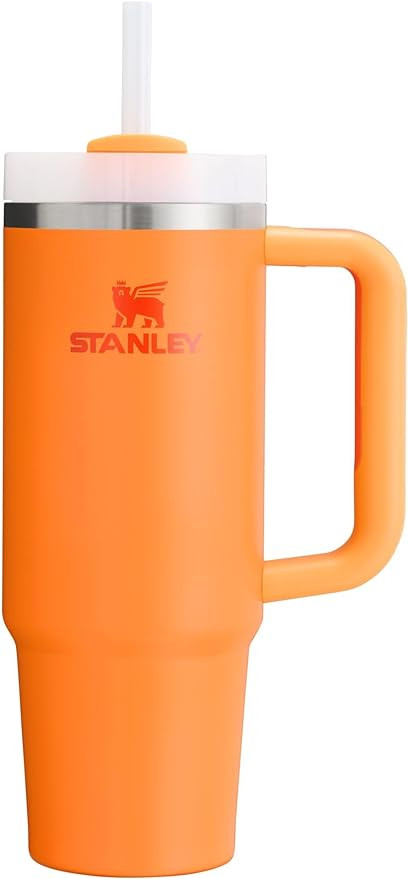 STANLEY Quencher H2.0 FlowState Stainless Steel | Amazon (US)