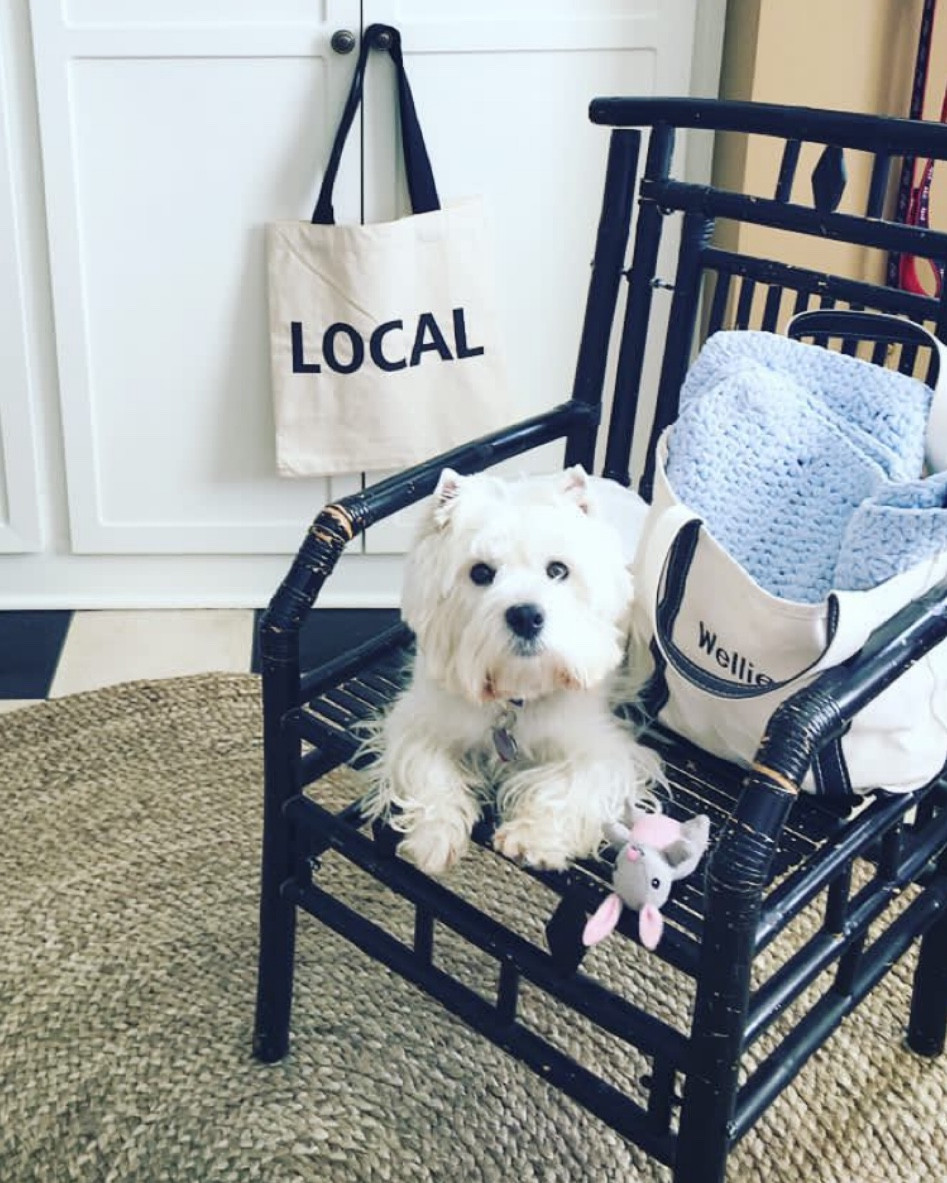 A Boat and Tote is classic… even the dog needs a monogrammed one! They also make great bags under the tree with gifts tucked inside… 

#LTKHoliday #LTKGiftGuide #LTKCyberWeek