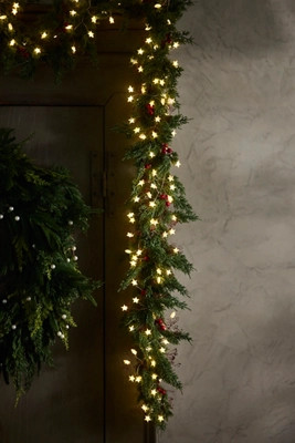 Stargazer Mini Star Tendril Light Strand | Terrain