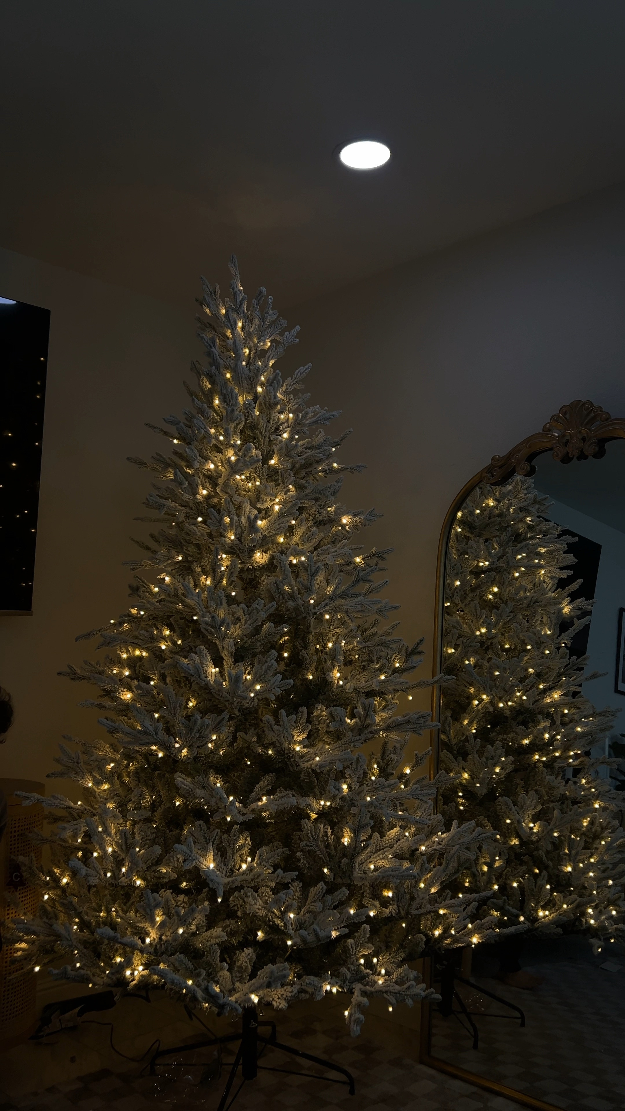 The viral Home Depot tree 🫶🏼
Sooooooo good! 

#LTKHoliday #LTKHolidaySale #LTKSeasonal