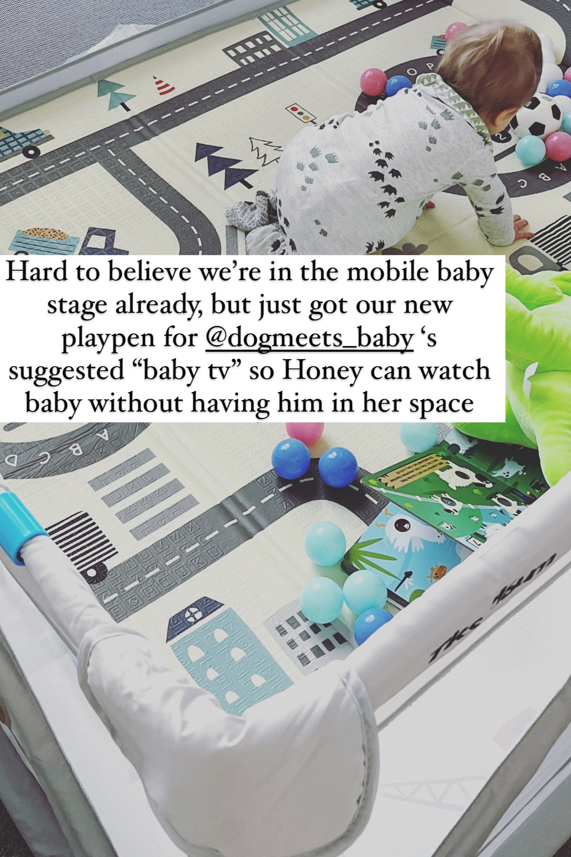 Our new baby play pen for “baby tv” time for our pup so she can watch baby without worrying about him getting into her space 🐶