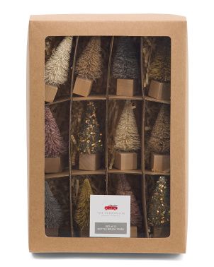 Set Of 12 3.25in Color Trees In A Box | TJ Maxx