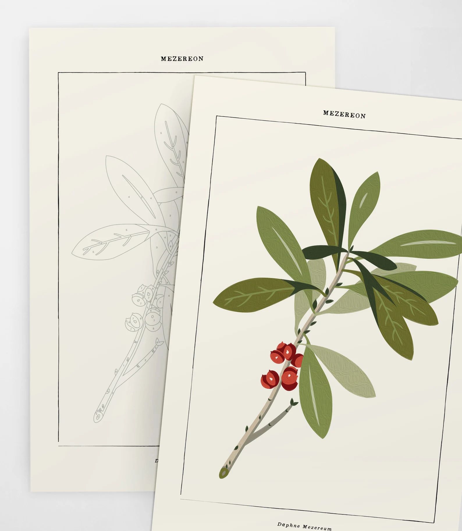 Mezereon Botanical Kit  Modern Paint by Numbers - Etsy | Etsy (US)