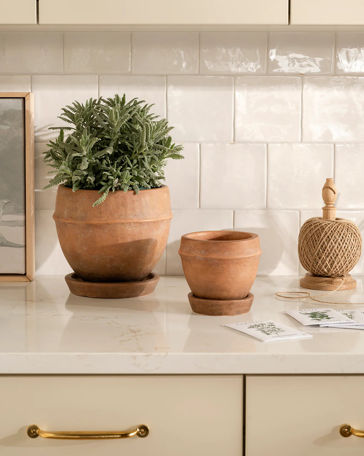 Vichy Terracotta Planter | McGee & Co. (US)