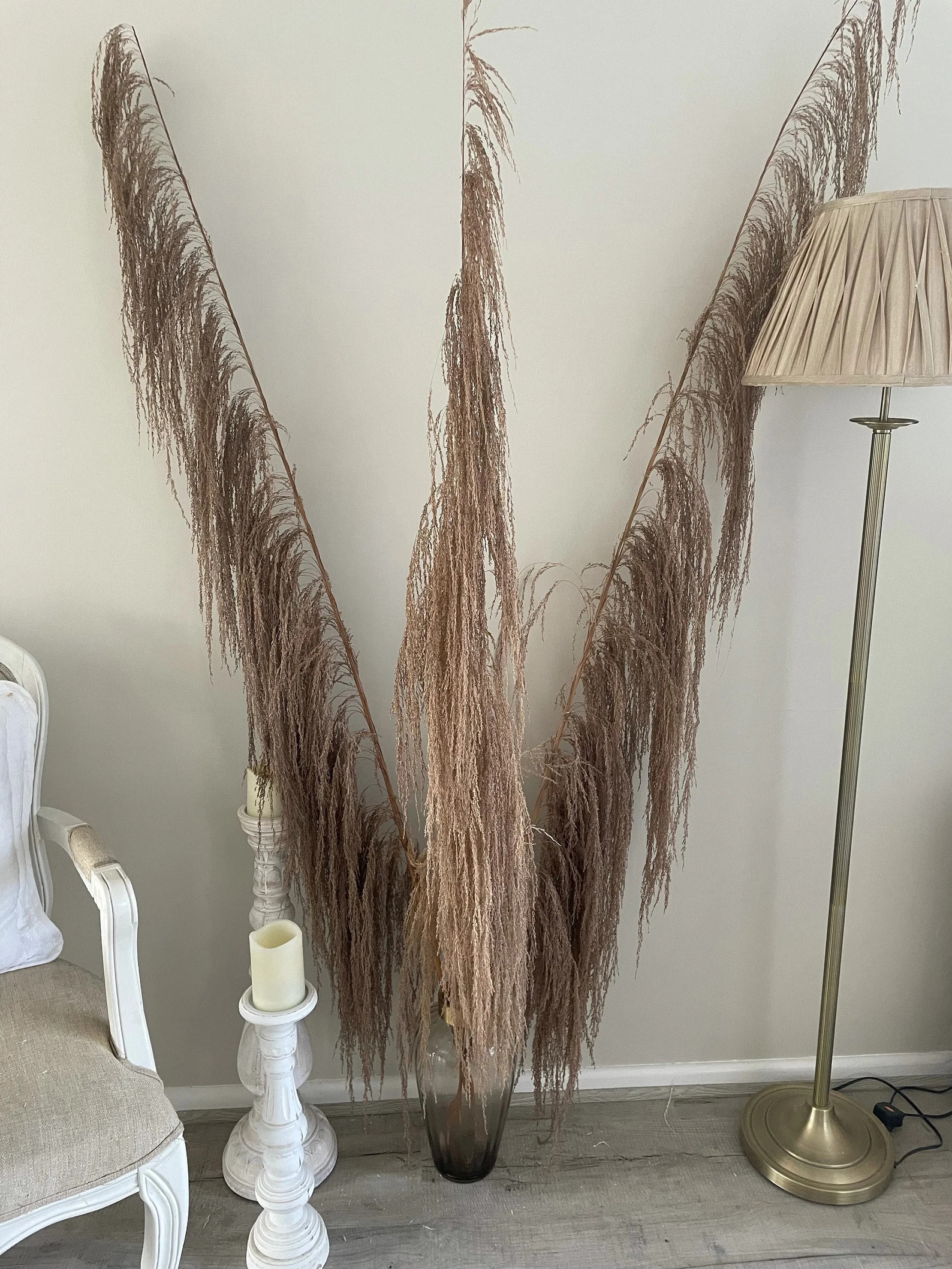 Dried Brown 6FT UVA Stalk | Etsy (US)