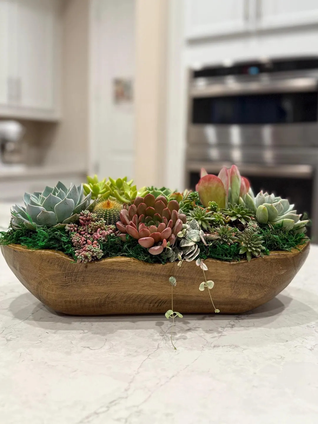 Wood Dough Bowl Succulent Planter: Tabletop Centerpiece | Etsy (US)