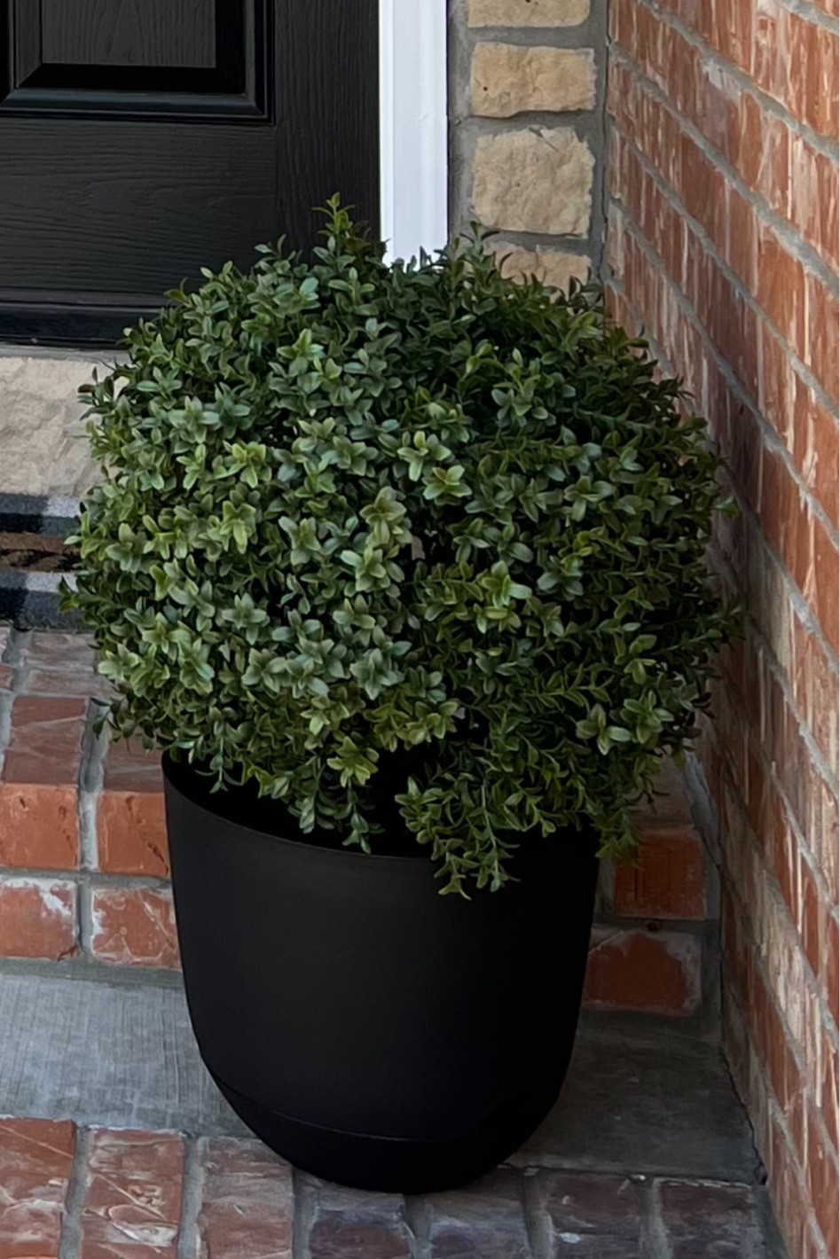 These planters are 20% off! Only $6 🖤 | planter | plants | pots | greenery | home finds | home decor | spring decor | patio | outdoor decor |

#LTKFind #LTKSeasonal #LTKhome