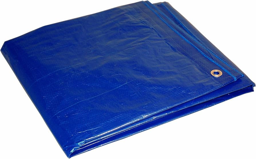 20x30 Multi-Purpose Blue Economy Poly Tarp (20'x30') | Amazon (US)