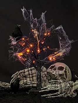 FUNPENY Lighted Black Birch Spooky Tree, 2FT Halloween Battery Operated Tree Lights with Spider W... | Amazon (US)