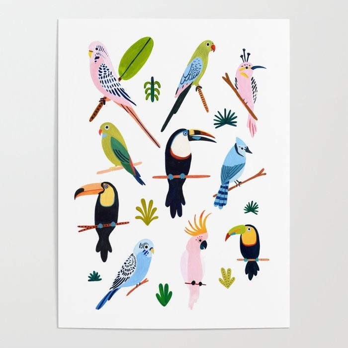 Birds of the Rainforest Poster | Society6