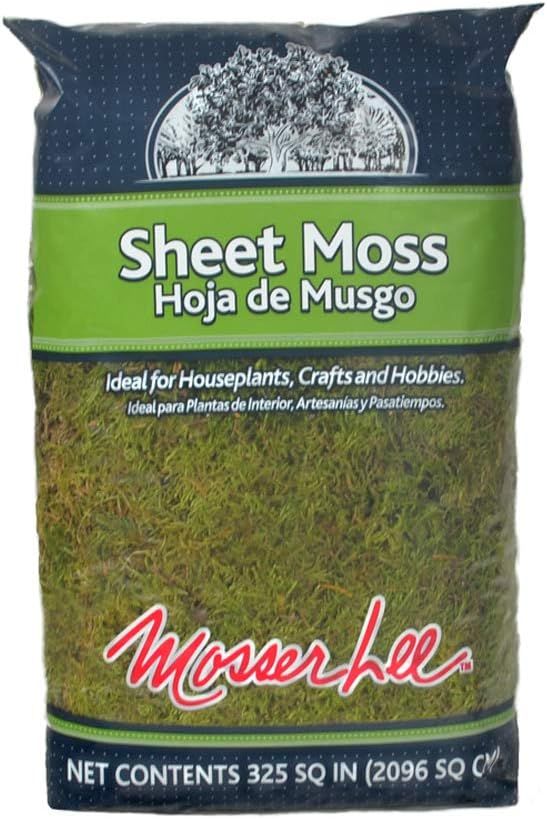 Mosser Lee ML0460 Natural Green Sheet Moss, 325 sq. in. | Amazon (US)