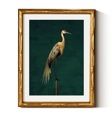 VIYYIEA Bamboo Detail Design Gold Framed Wall Art for Living Room,Crane Canvas Prints, Animals Oil Paintings,Vintage Gold Wall Decor for Bedroom Kitchen,11 x 14 Inch | Amazon (US)