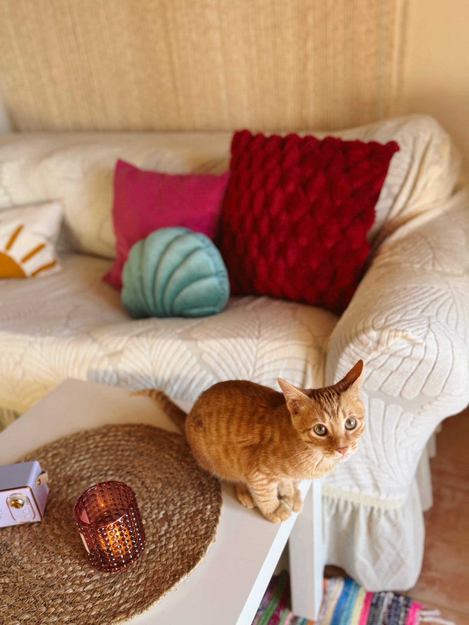 Deco salón a todo color 

#LTKespana #LTKeurope