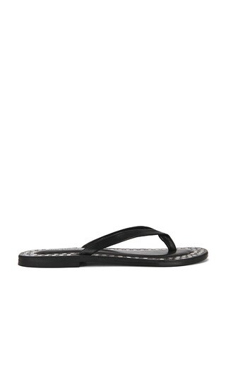 Jeffrey Campbell Katrina Strap Sandal in Black. - size 8 | Revolve Clothing (Global)