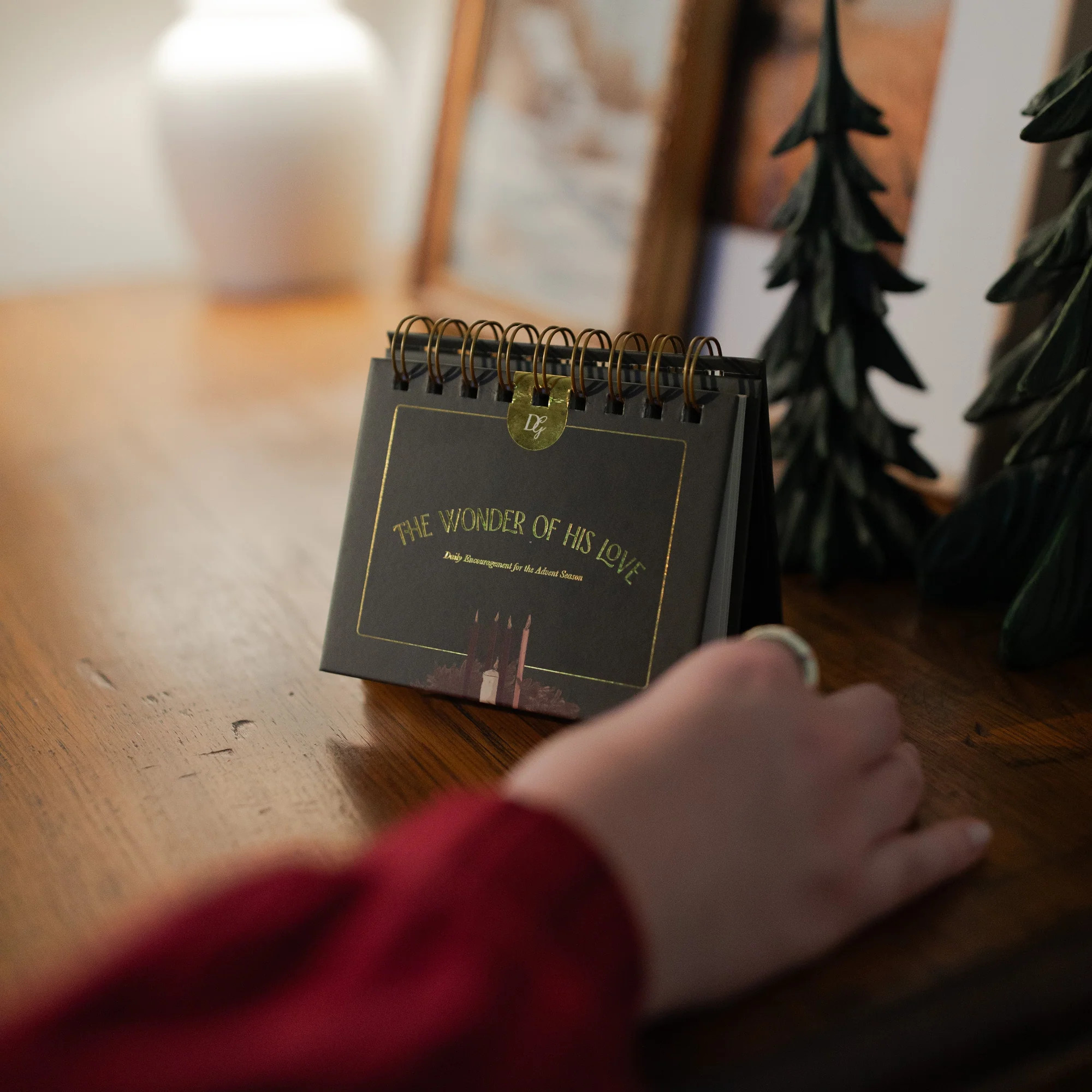 The Wonder of His Love | Daily Encouragement for the Advent Season | The Daily Grace Co.