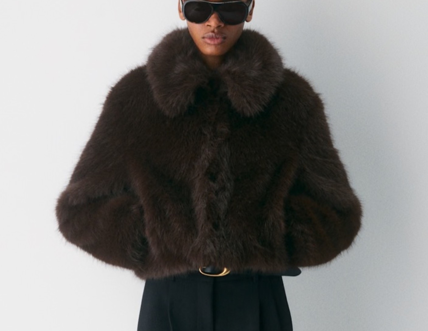 Faux Fur Coat in my cart 


#LTKStyleTip #LTKSeasonal
