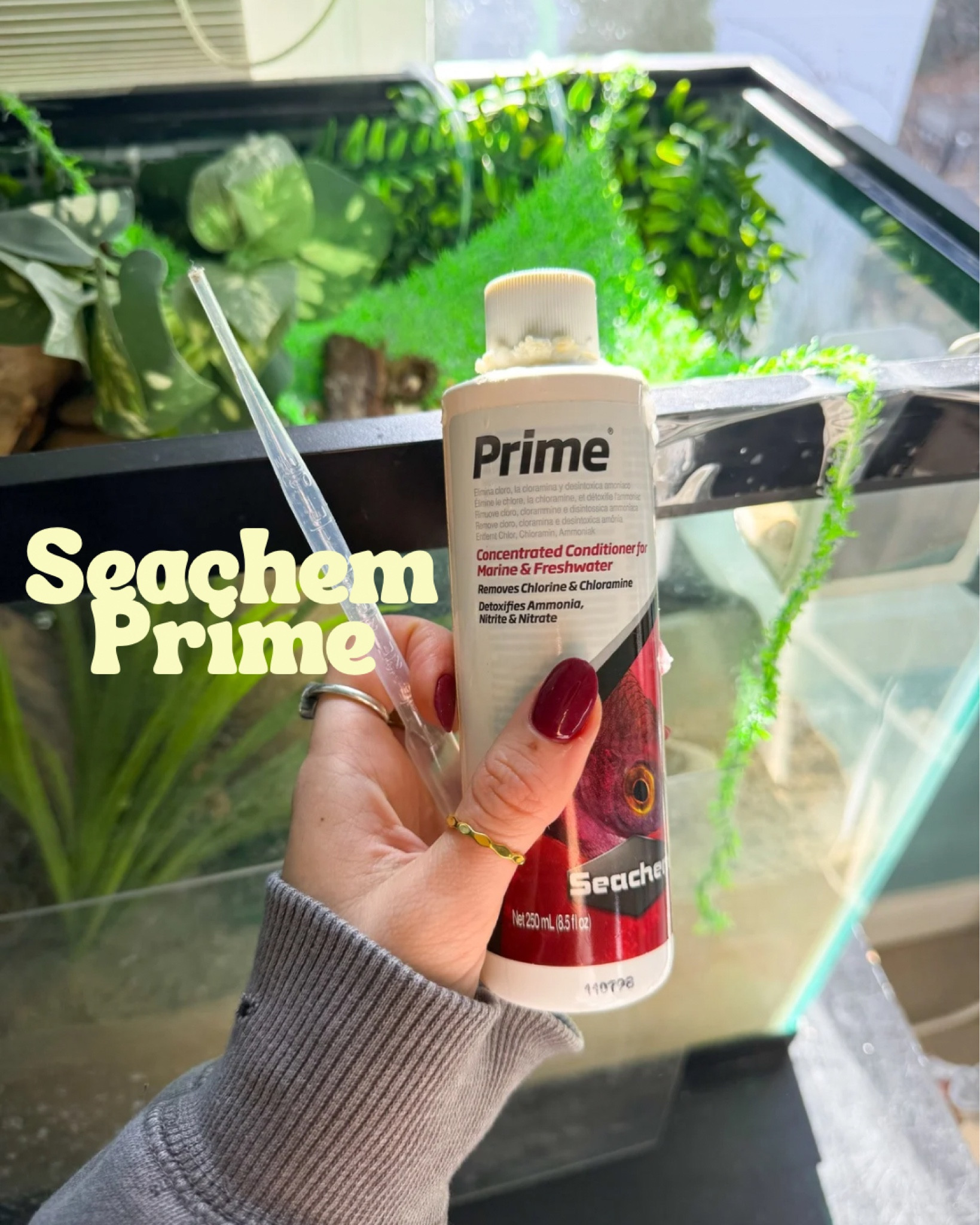 Makes drinking water safe for hermit crabs! 1 drop in each pool! 