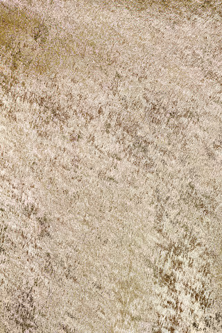 Marissa Dress in Gold | Revolve Clothing (Global)