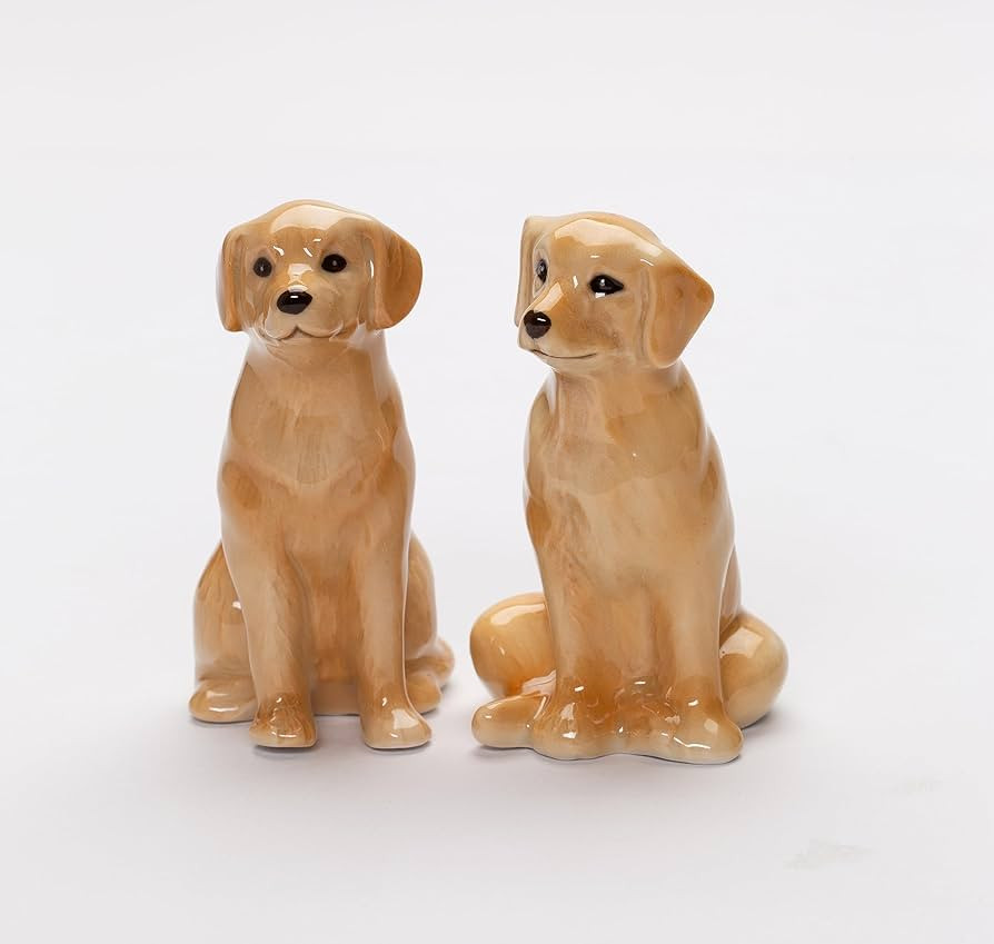 Fine Ceramic Labrador Retriever Dogs Salt and Pepper Shakers Set, 3-5/8" H | Amazon (US)
