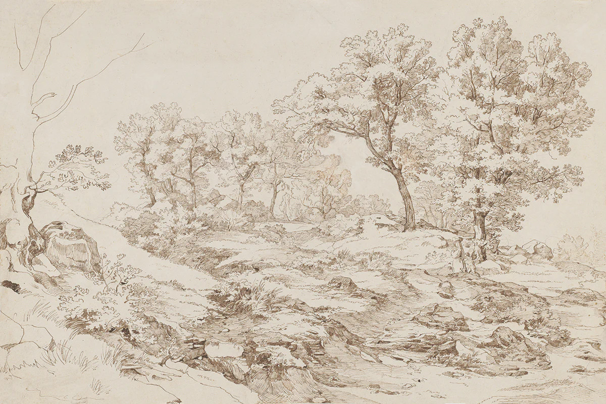 Roman Oaks | Juniper Print Shop