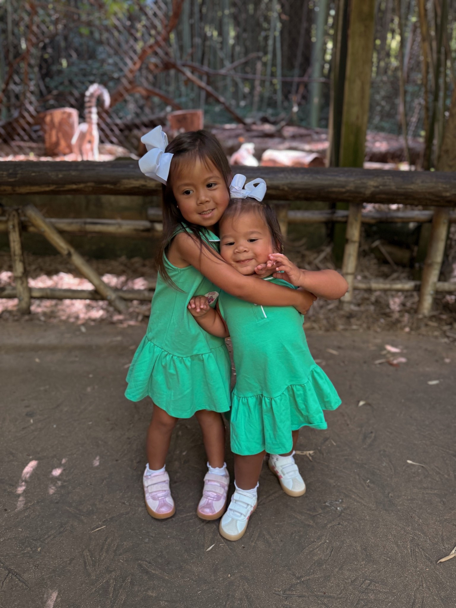The cutest little Peter Pan collar toddler dresses from Dillards! 

#LTKKids