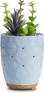 Essential Oil Diffuser, Artificial Succulent Plants Potted Diffusers for Essential Oils with 7 Co... | Amazon (US)