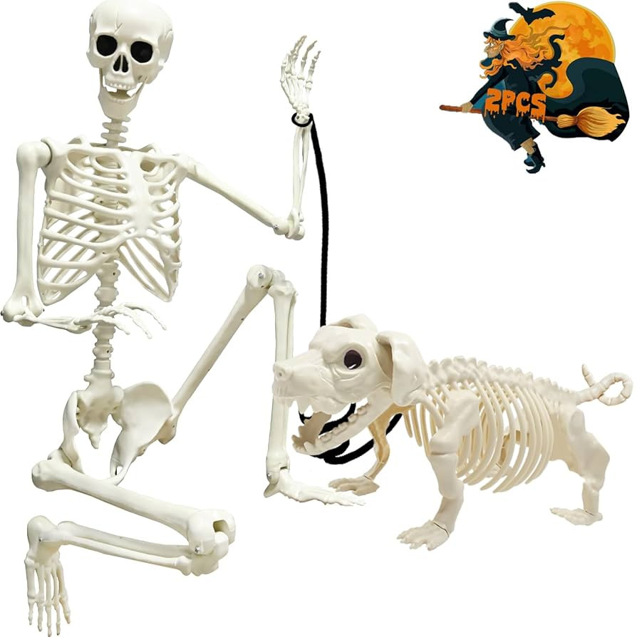 CAMIRUS 5.4ft Skeleton Halloween Decoration, Life Full Size Skeleton with Dog Skeleton, Posable H... | Amazon (US)