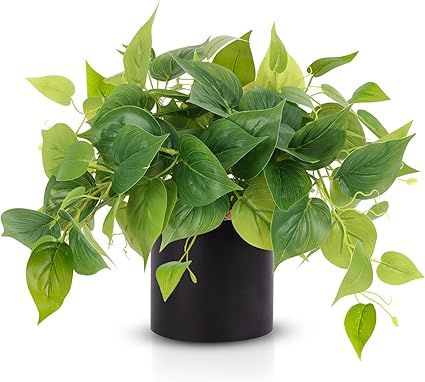 JPSOR Faux Plants Indoor, Artificial Plants for Home Decor Indoor, Pothos Small Fake Plants for L... | Amazon (US)