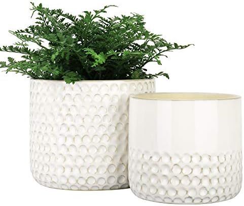Amazon.com : LA JOLIE MUSE Ceramic Planter Flower Plant Pots- 6.7+5.5 Inch Concave Dot Patterned ... | Amazon (US)