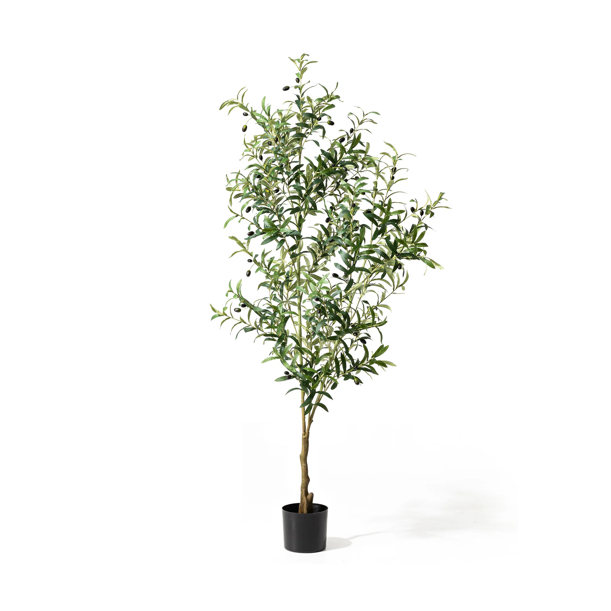 Amee 70" H Faux Olive Tree in Pot | Wayfair North America