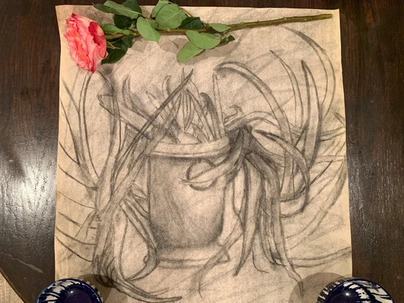 SUCC-me Charcoal | Etsy (US)