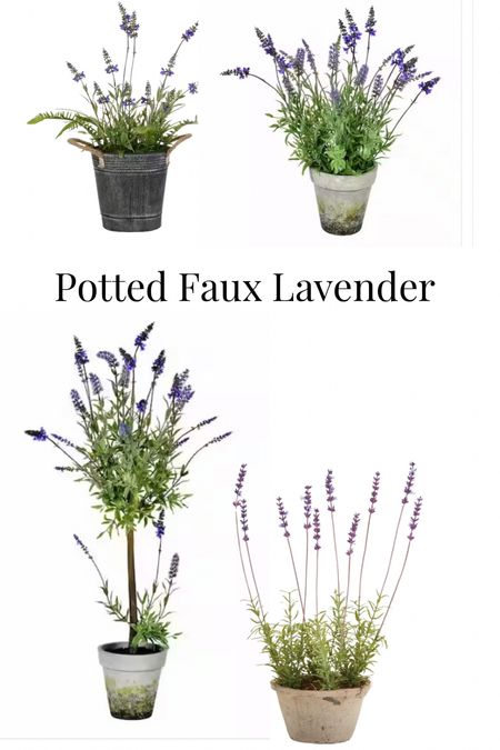 Potted faux lavender florals

#LTKhome #LTKunder100 #LTKSeasonal