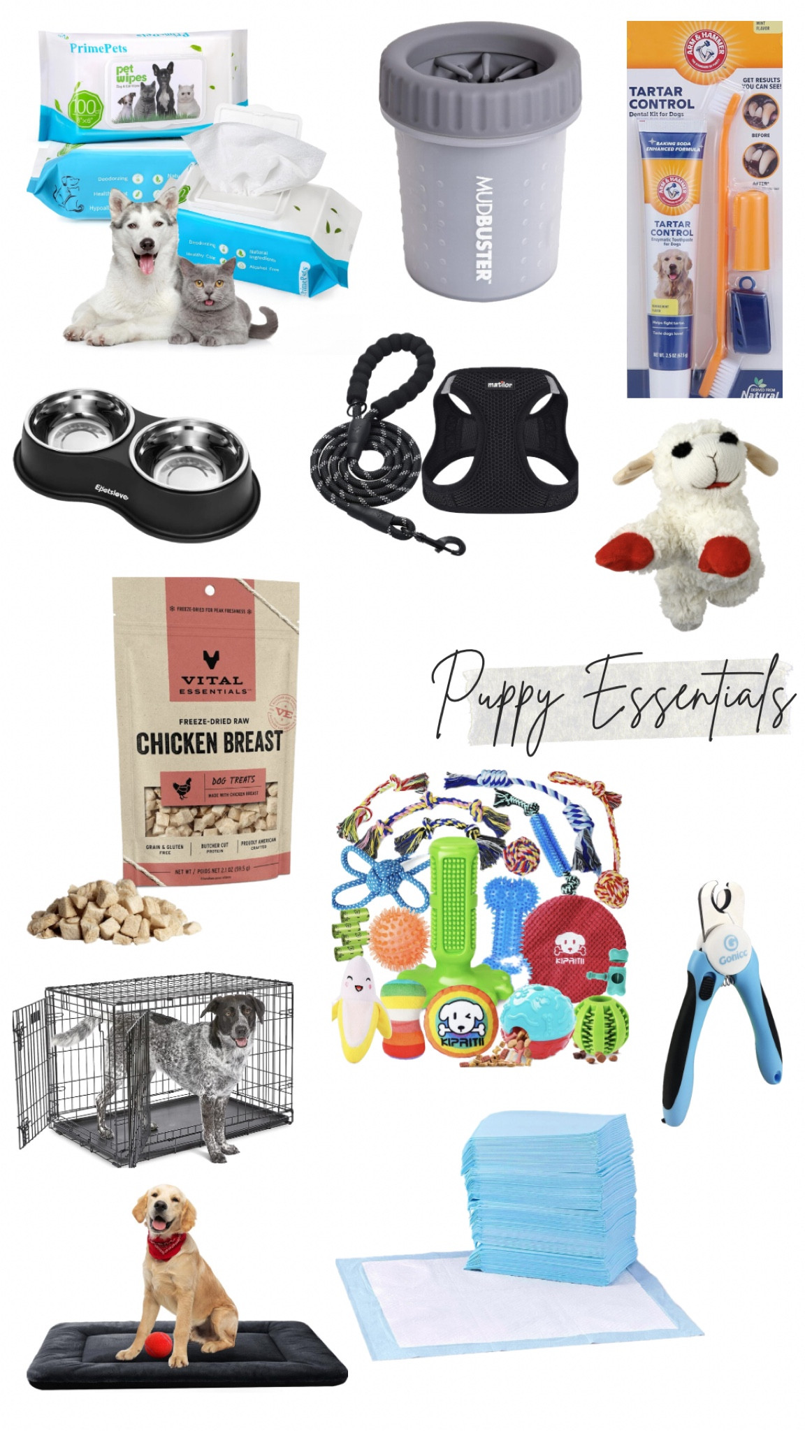 Everything your puppy needs 🐾

#LTKfindsunder50 #LTKU #LTKfindsunder100