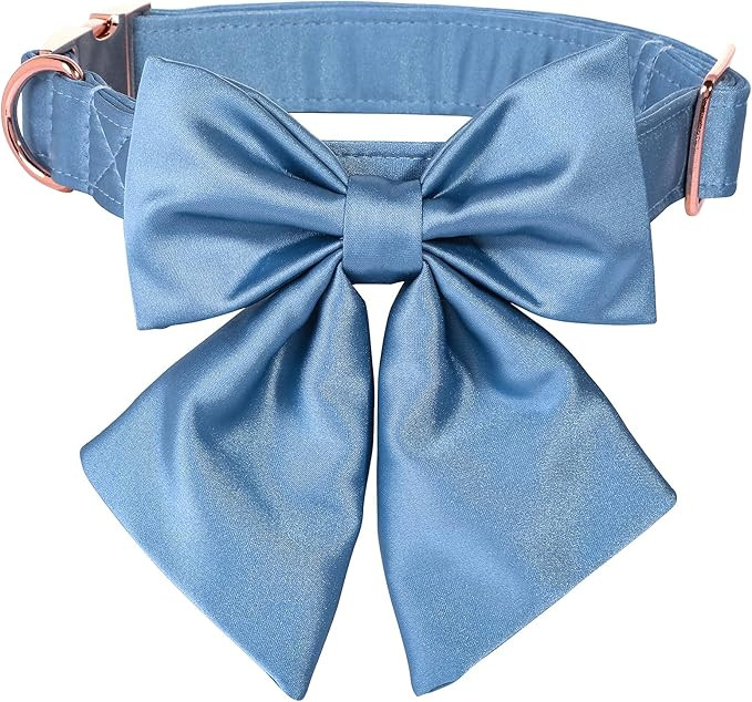 Lionet Paws Bowtie Dog Collar - Comfortable Silk Dog Collar with Detachable Bow Tie for Puppy and... | Amazon (US)