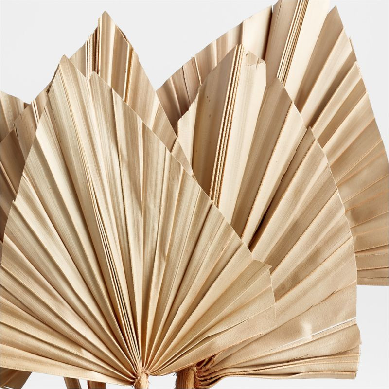 Dried Palm Leaves, Set of 5 + Reviews | Crate & Barrel | Crate & Barrel