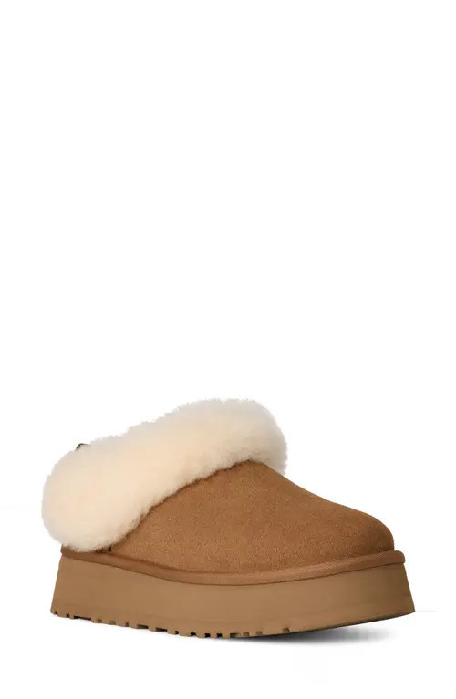 UGG(r) Tazzelle Genuine Shearling Collar Slipper in Chestnut at Nordstrom, Size 11 | Nordstrom