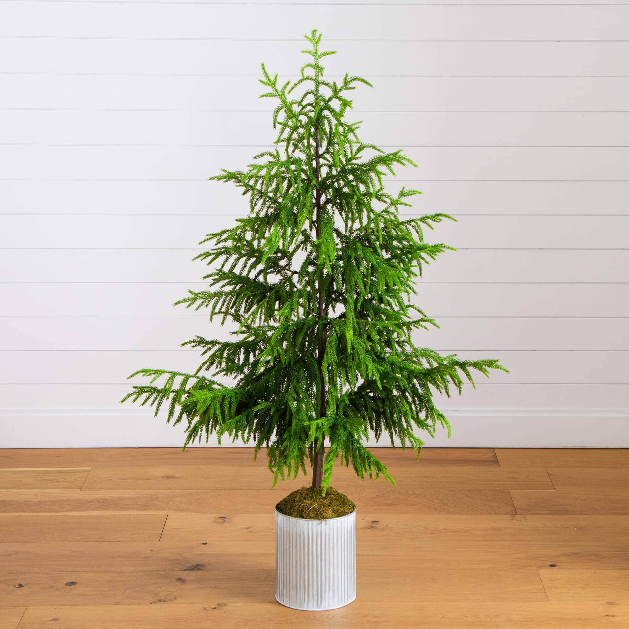 5' Artificial Real Touch Norfolk Island Pine in Metal Tin Planter with | Nearly Natural