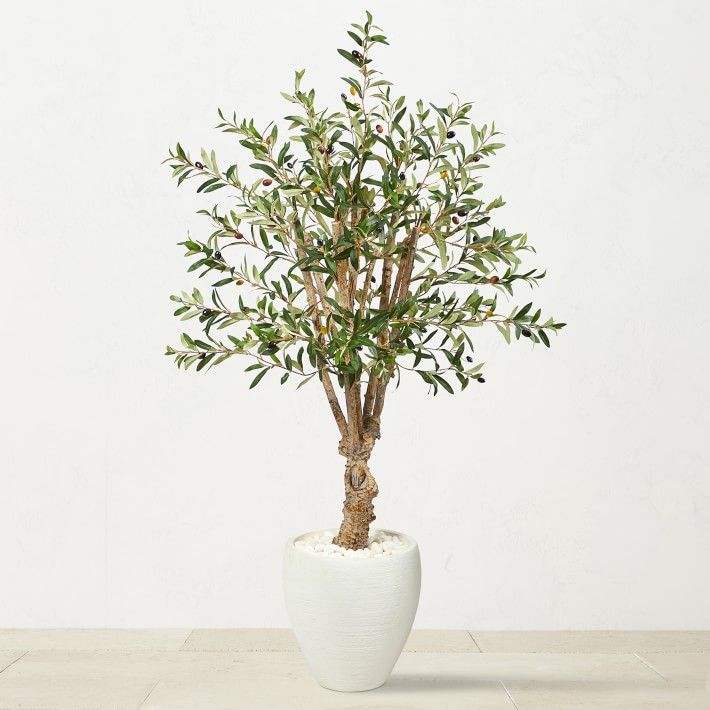 4.4' Faux Olive Tree in White Planter | Williams-Sonoma