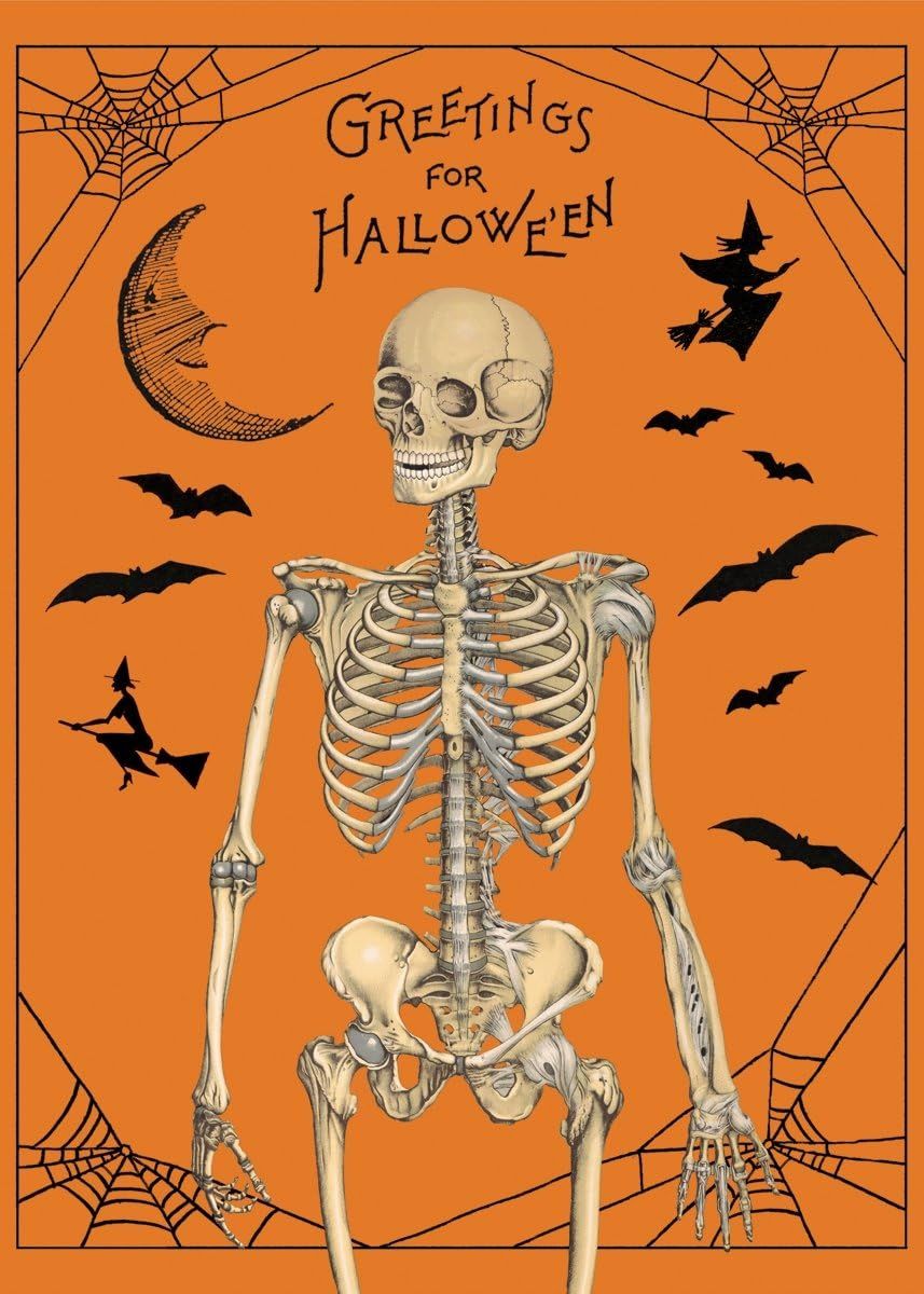 Cavallini & Co. Halloween Greetings Wrap | Amazon (US)