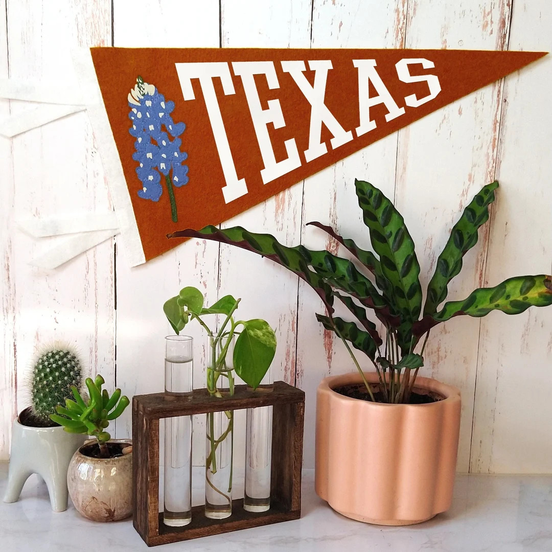 TEXAS PENNANT texas Bluebonnnet State Flower Texas Pride Gift & Decor - Etsy | Etsy (US)