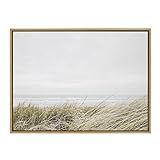 Kate and Laurel Sylvie East Beach Framed Canvas by Amy Peterson Art Studio, 28x38, Natural | Amazon (US)