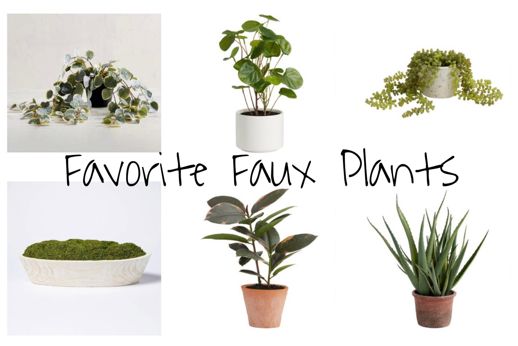 Favorite faux plants 🪴 #fauxplants

#LTKhome #LTKstyletip #LTKunder100